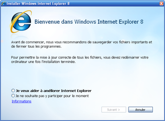 Internet Explorer 8の画像11