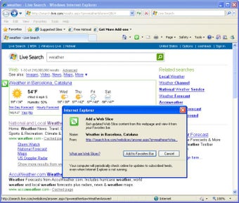 Internet Explorer 8の画像3